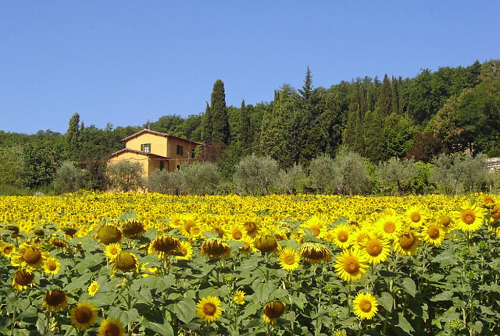 I Casali Del Trebbiolo Βίλα Molino del Piano Εξωτερικό φωτογραφία