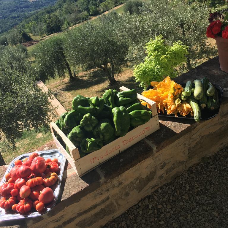 I Casali Del Trebbiolo Βίλα Molino del Piano Εξωτερικό φωτογραφία